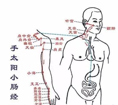 推拿怎么减肥，这9个穴位你得认清 减肥 第9张