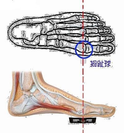 骑动感单车腿会变粗吗，掌握正确姿势不粗腿 瘦腿 第2张