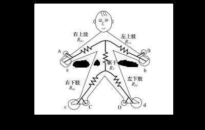 智能体重秤原理，BIA生物电阻抗测量法准确吗 减肥 第2张