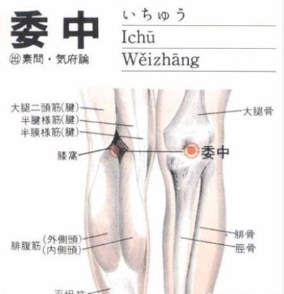 超实用穴位减肥方法，快速恢复苗条身材 减肥 第3张