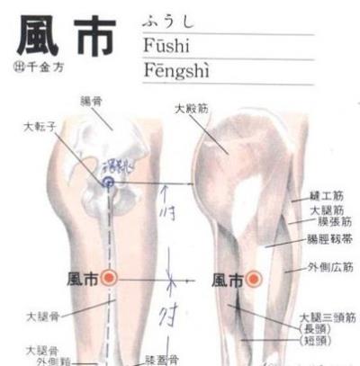 超实用穴位减肥方法，快速恢复苗条身材 减肥 第2张