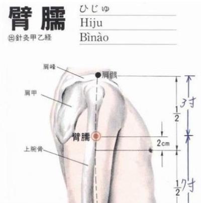 超实用穴位减肥方法，快速恢复苗条身材 减肥 第4张