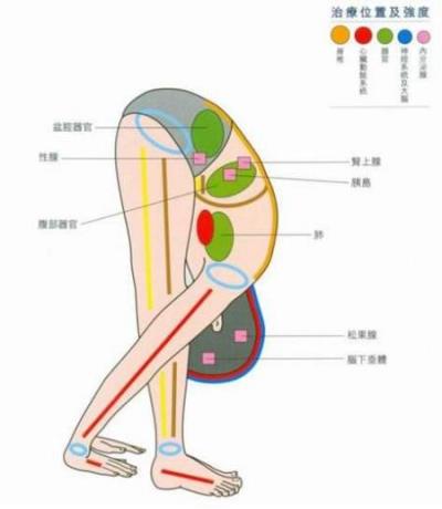 一个瑜伽动作瘦腰腹，懒女人也能轻松减肥啦 瑜伽减肥 第2张